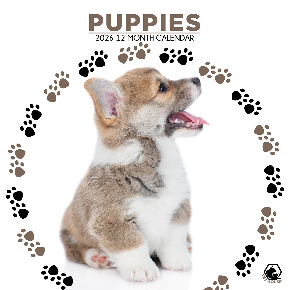 Puppies Calendar - Square Calendar 2026