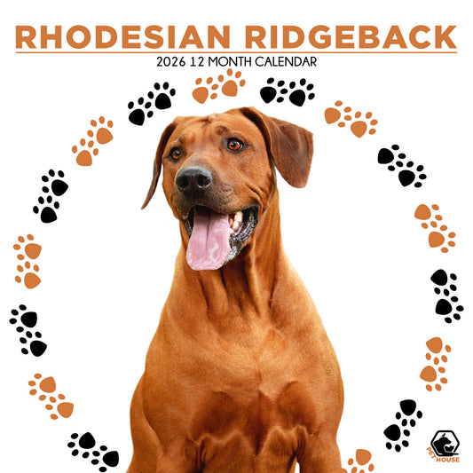 Rhodesian Ridgeback - Square Calendar 2026