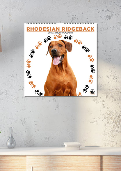 Rhodesian Ridgeback - Square Calendar 2026