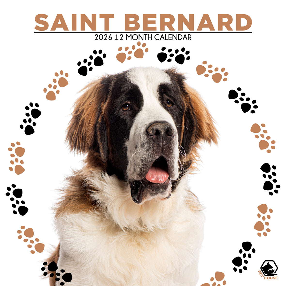 Saint Bernard - Square Calendar 2026