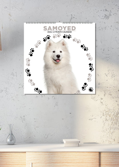 Samoyed - Square Calendar 2026