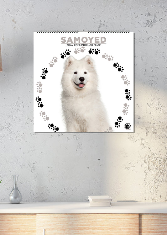 Samoyed - Square Calendar 2026