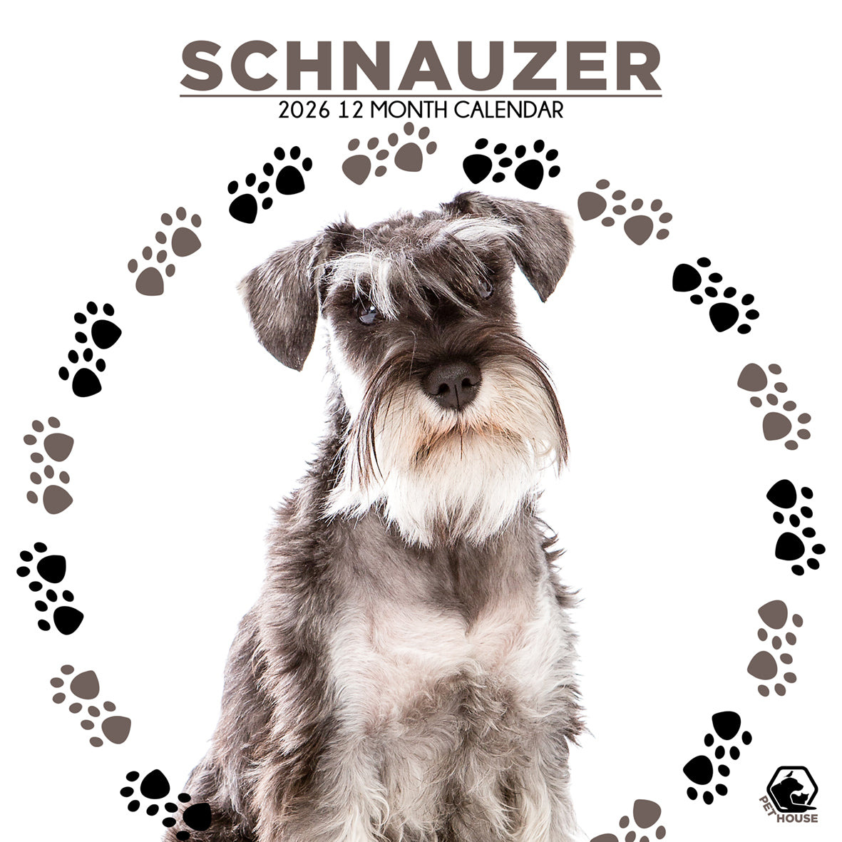 Schnauzer - Square Calendar 2026