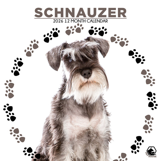 Schnauzer - Square Calendar 2026