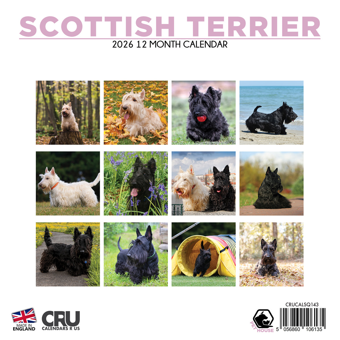 Scottish Terrier - Square Calendar 2026