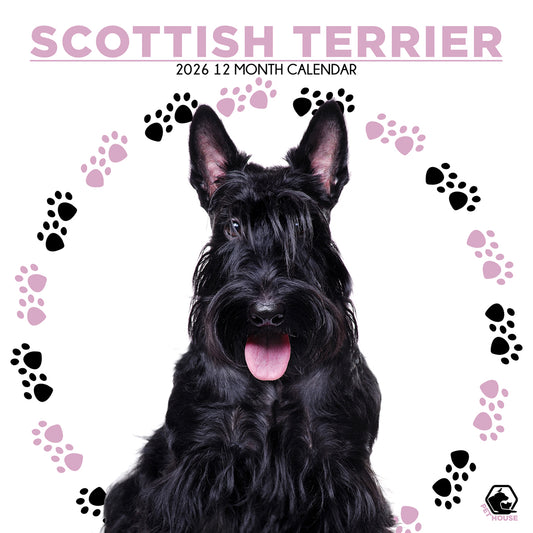 Scottish Terrier - Square Calendar 2026