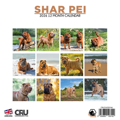 Shar Pei - Square Calendar 2026