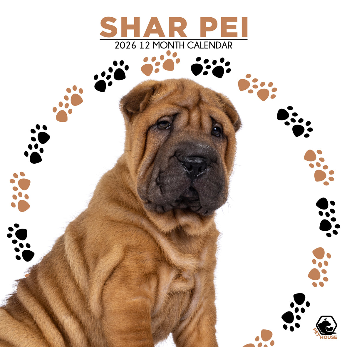 Shar Pei - Square Calendar 2026