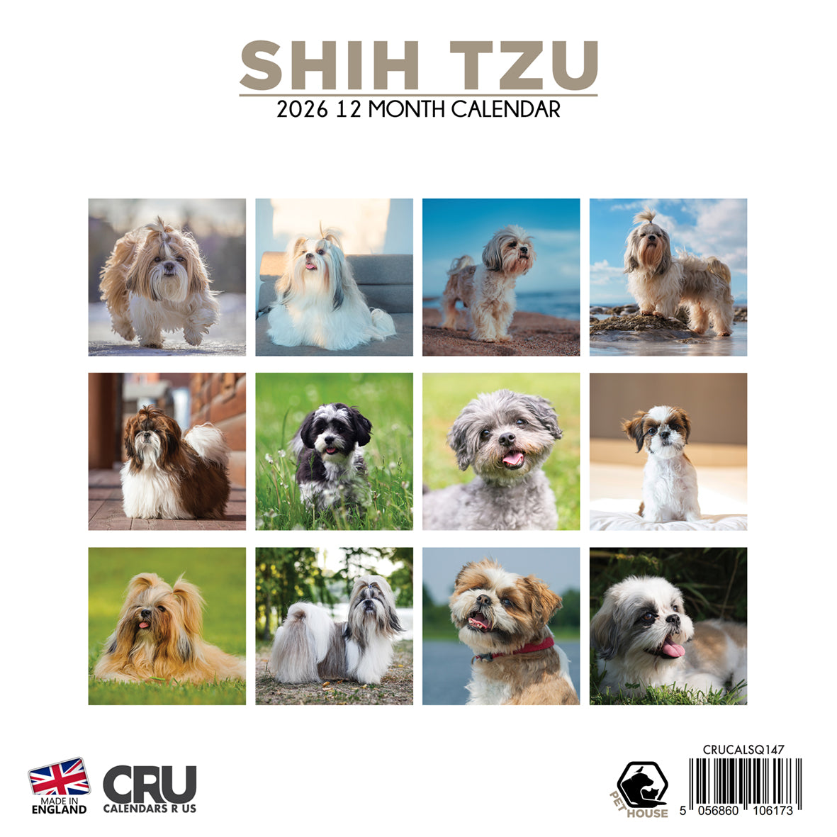 Shih Tzu - Square Calendar 2026