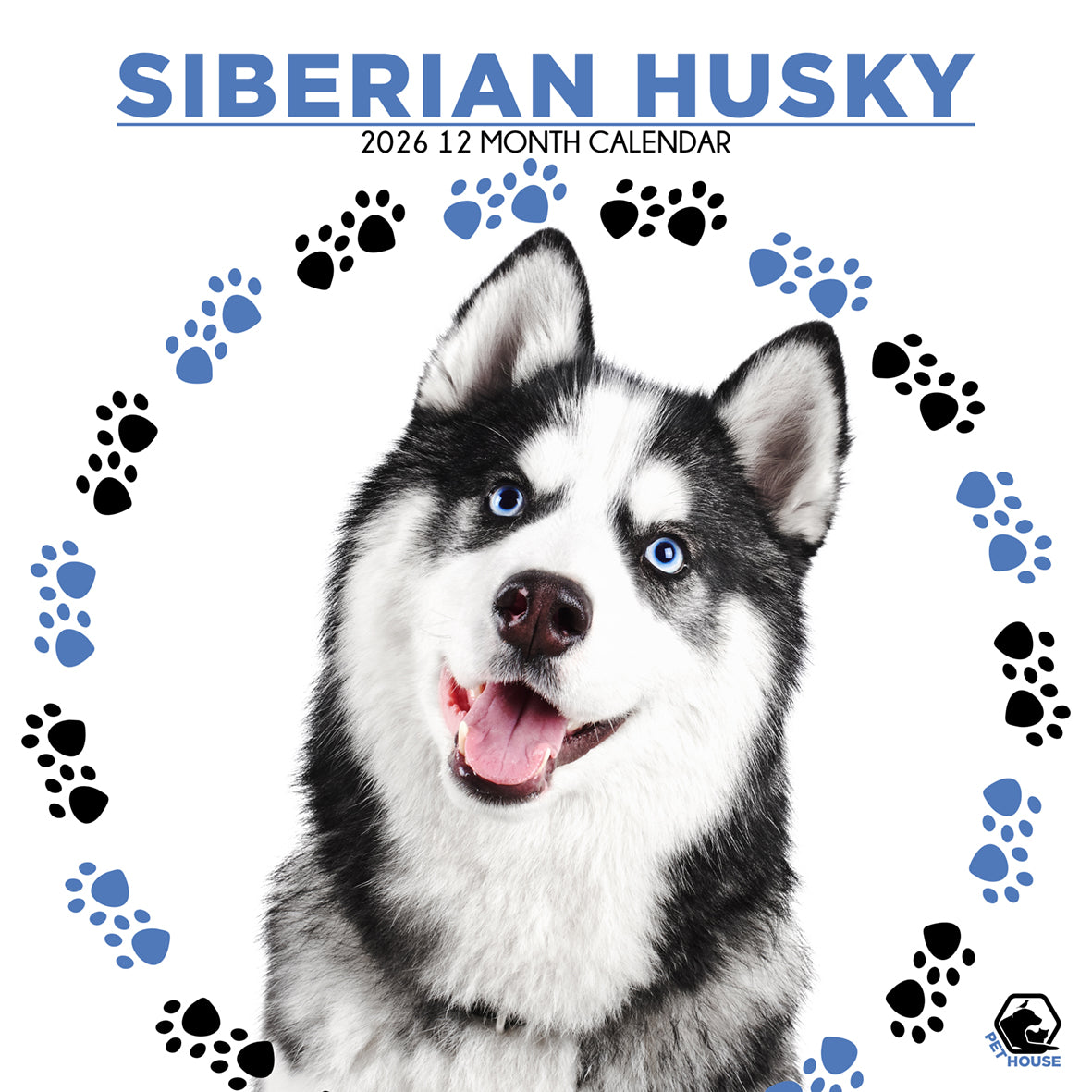 Siberian Husky Square Calendar 2026 CalendarsRus