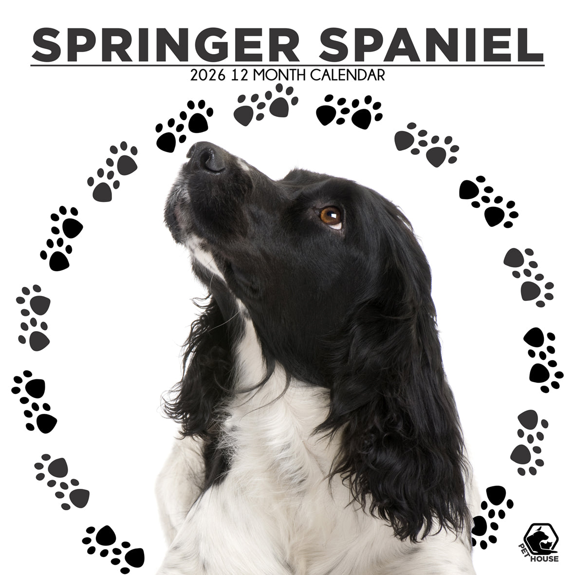 Springer Spaniel - Square Calendar 2026