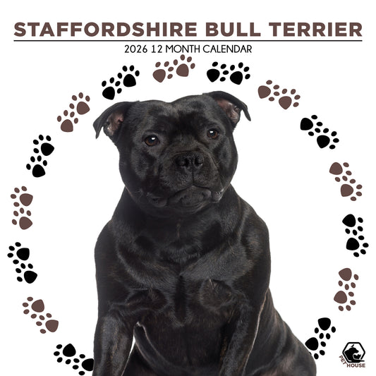 Staffordshire Bull Terrier - Square Calendar 2026