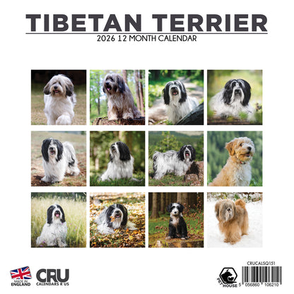 Tibetan Terrier - Square Calendar 2026