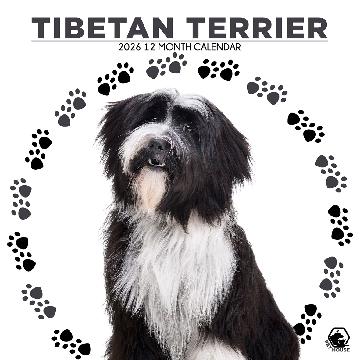 Tibetan Terrier - Square Calendar 2026