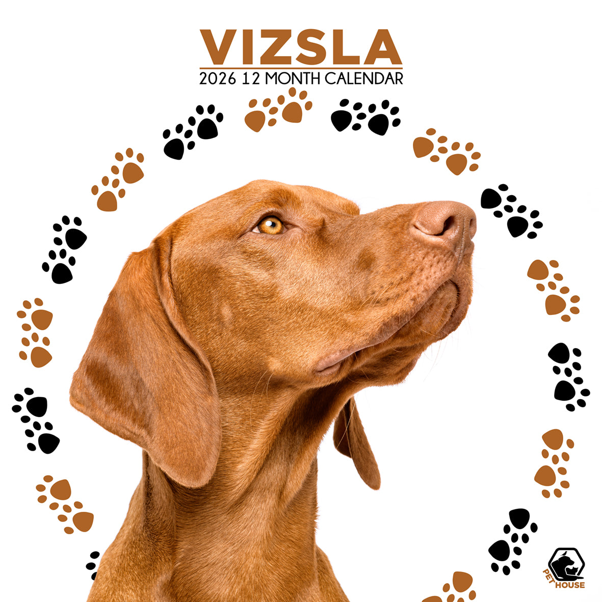 Vizsla - Square Calendar 2026