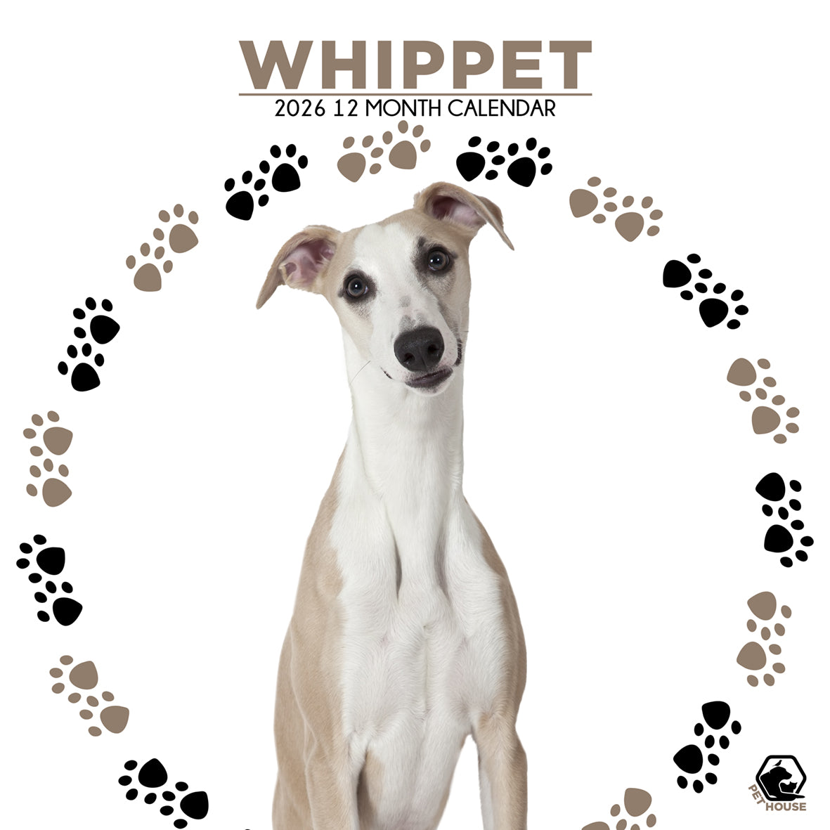 Whippet - Square Calendar 2026