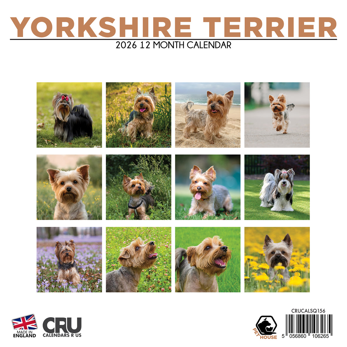 Yorkshire Terrier - Square Calendar 2026