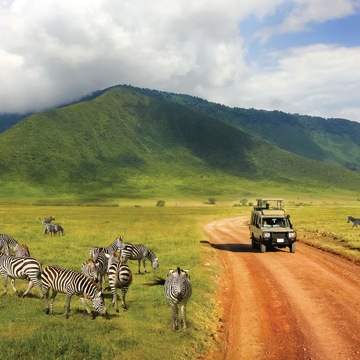 Africa - Square Calendar 2026