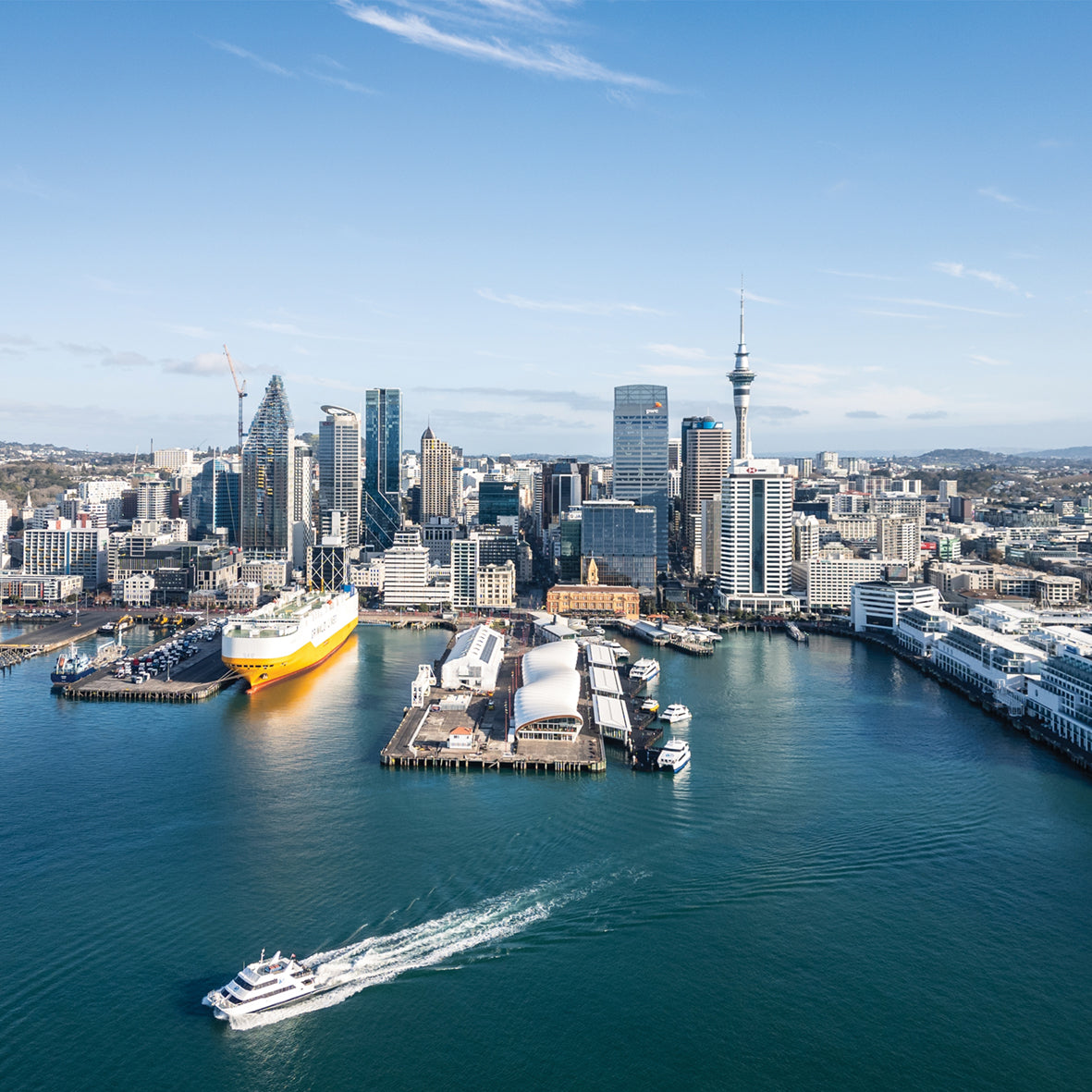 New Zealand - Square Calendar 2026