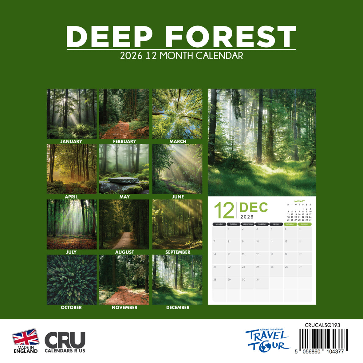 Deep Forest - Square Calendar 2026
