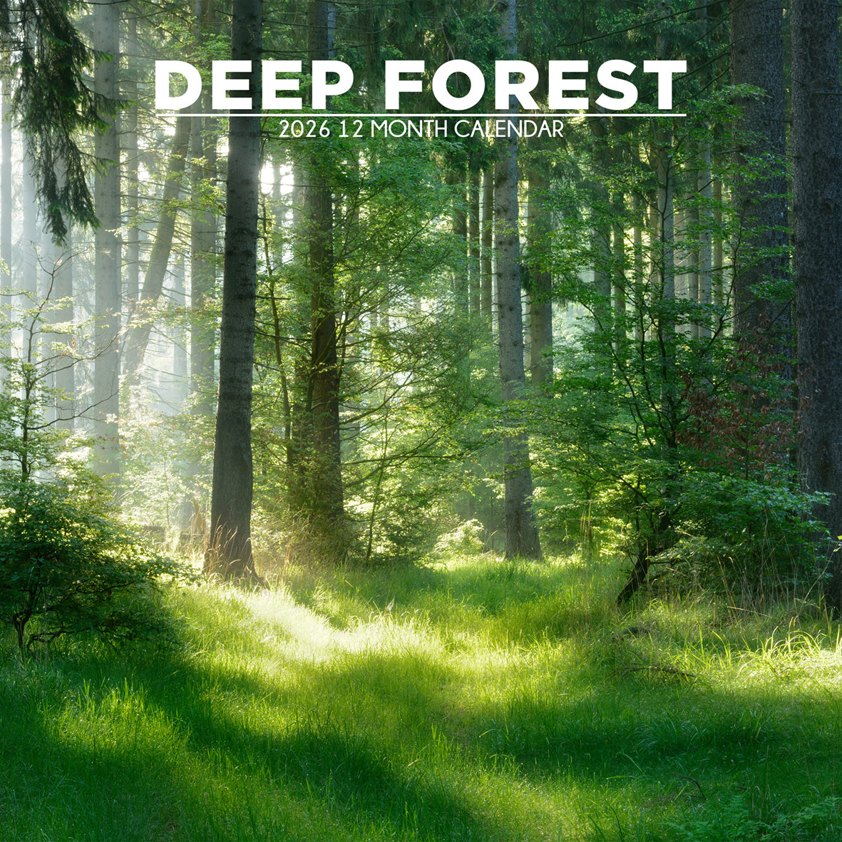 Deep Forest - Square Calendar 2026