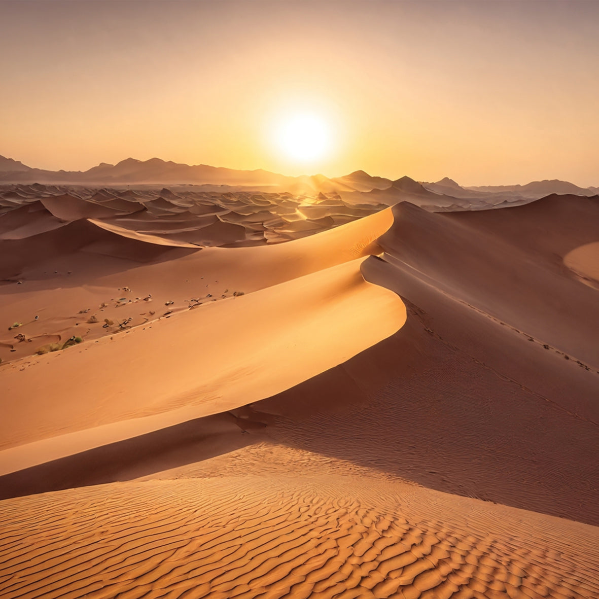 Deserts - Square Calendar 2026