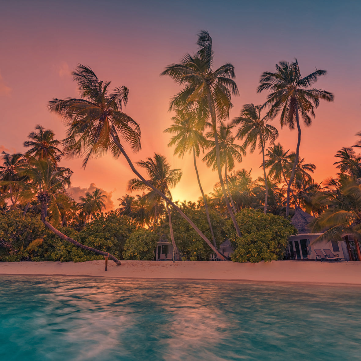 Sunsets - Square Calendar 2026