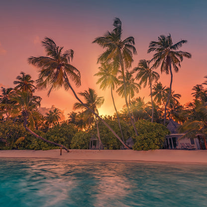 Sunsets - Square Calendar 2026