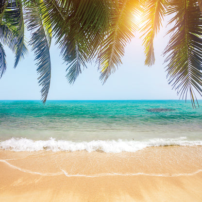 Tropical Islands - Square Calendar 2026