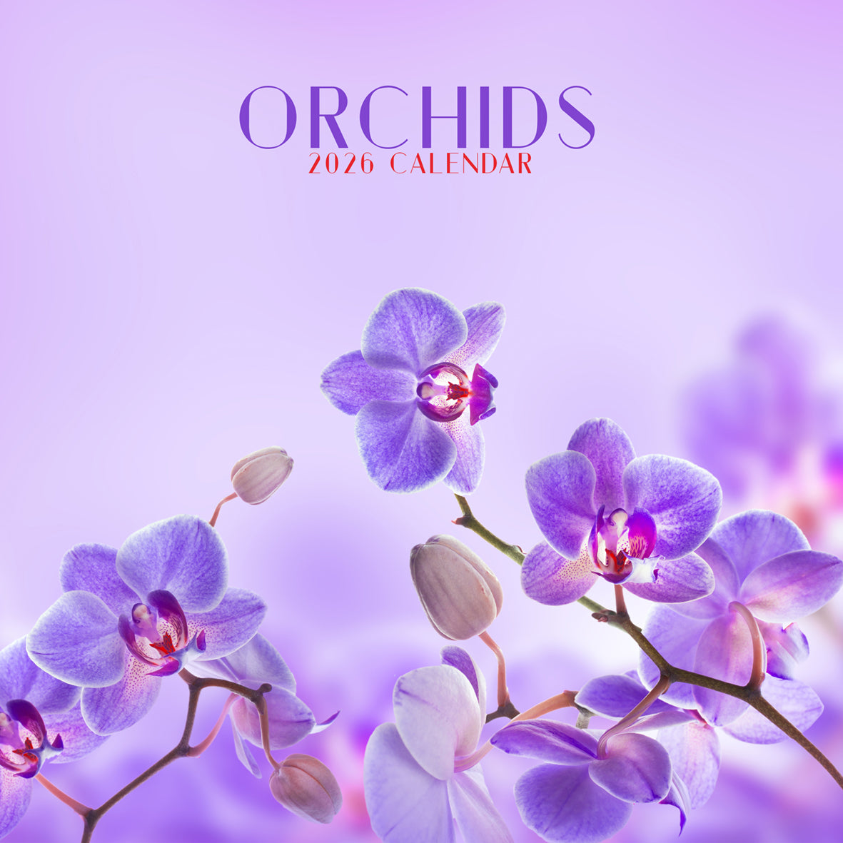 Orchids - Calendar 2026