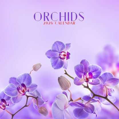 Orchids - Calendar 2026