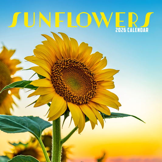 Sunflowers - Calendar 2026