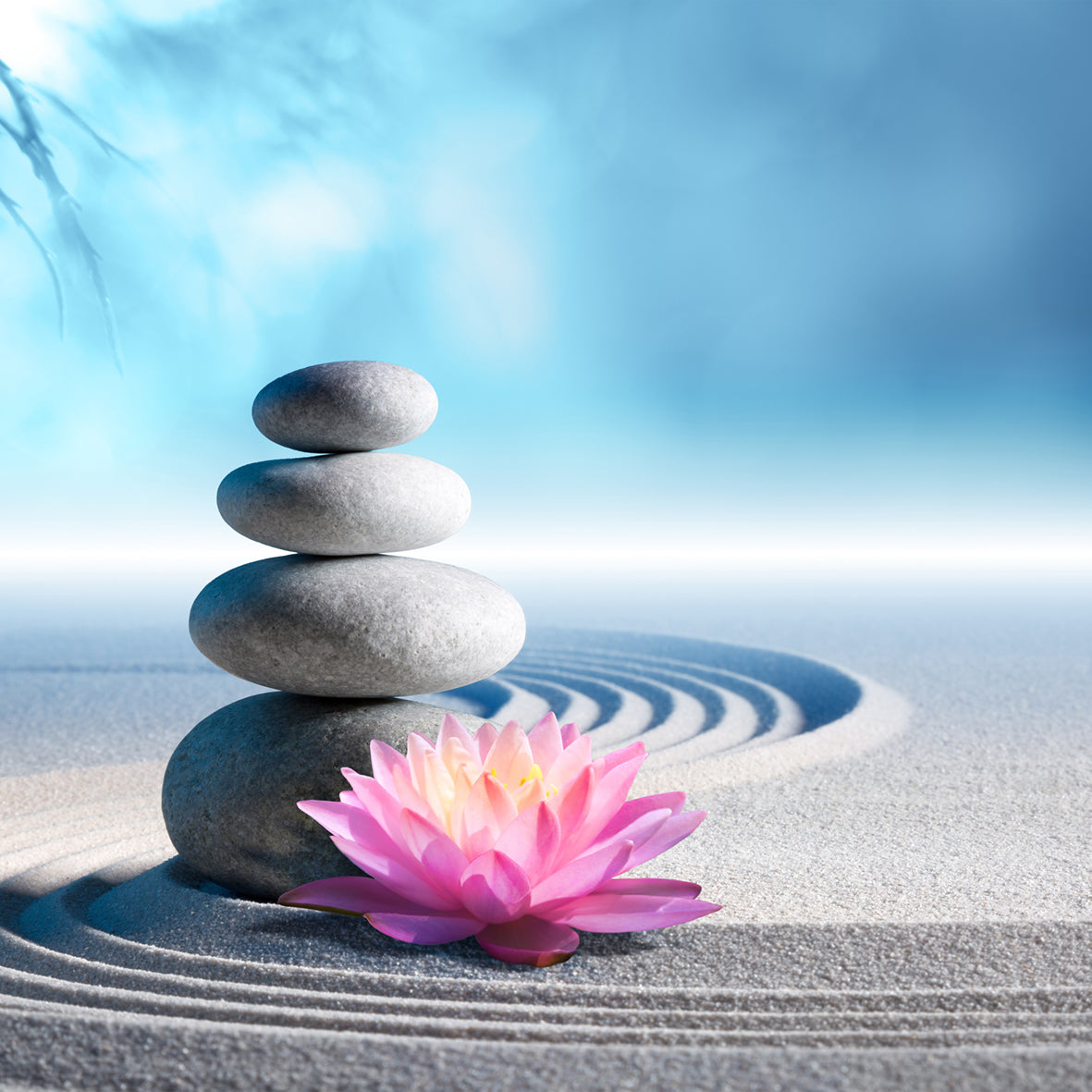 Meditation - Calendar 2026