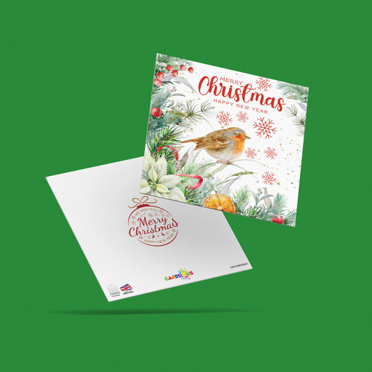 Christmas Cards Robins Multipack