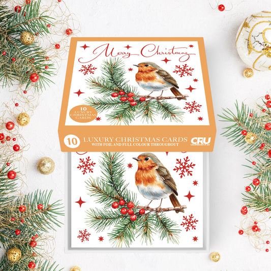 Christmas Cards Robins 2 Multipack