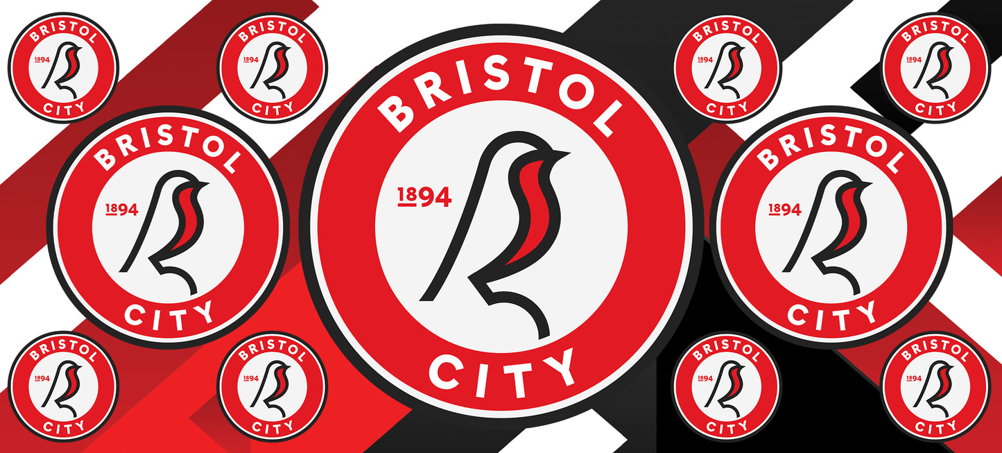 Bristol City Mugs Matter