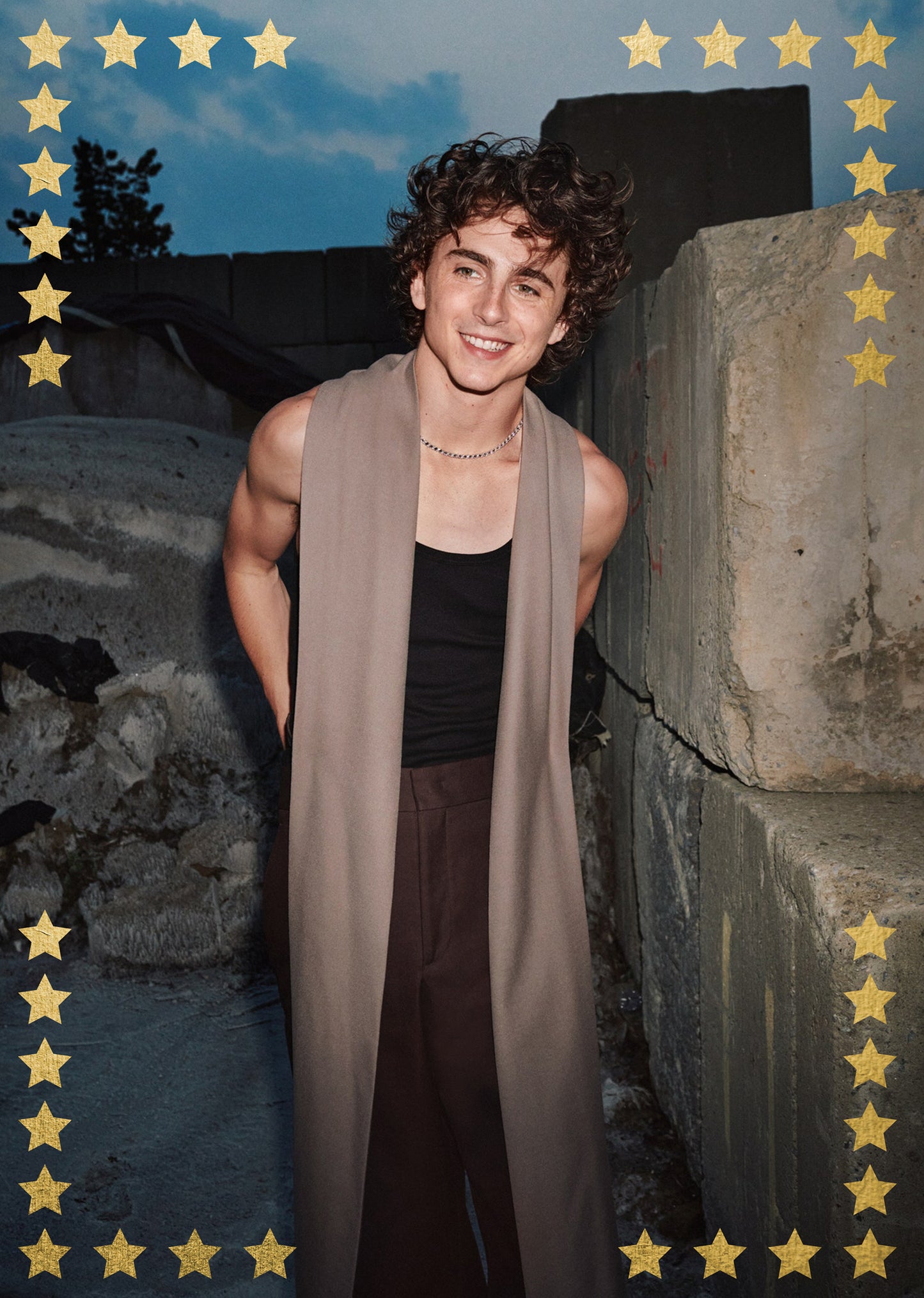 Timothee Chalamet AllStar Poster Pack