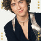 Timothee Chalamet AllStar Poster Pack