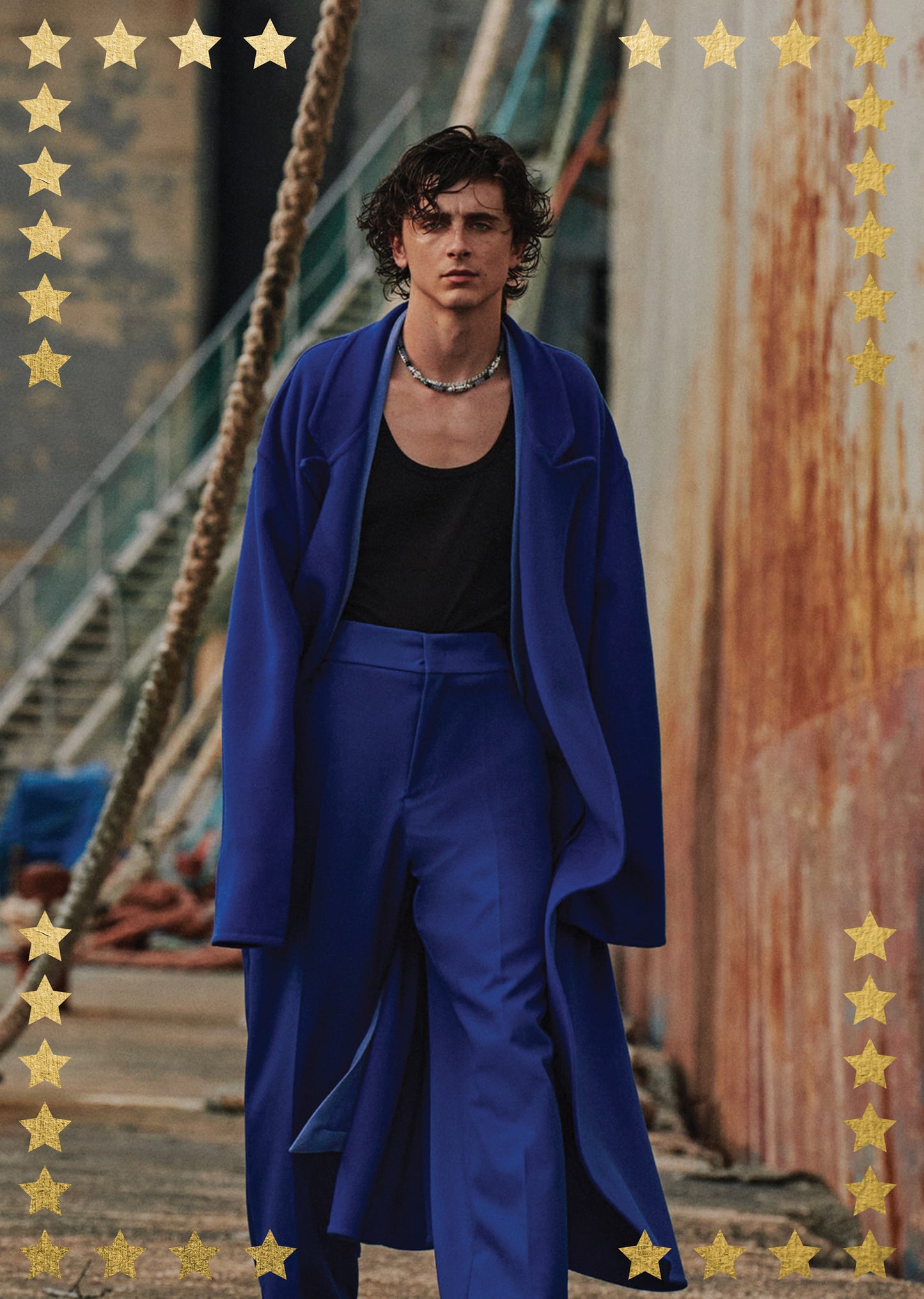 Timothee Chalamet AllStar Poster Pack