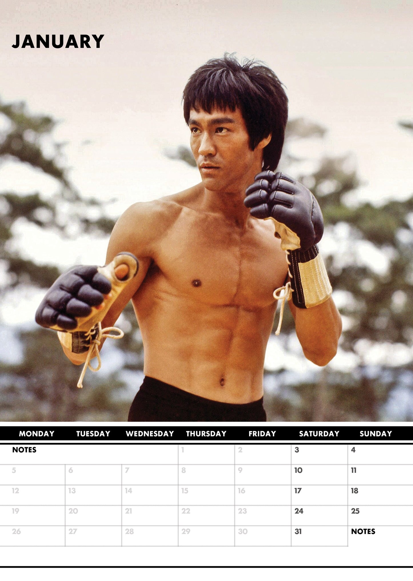 Bruce Lee - A3 Wholesale