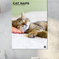 Cats Naps Calendar 2025