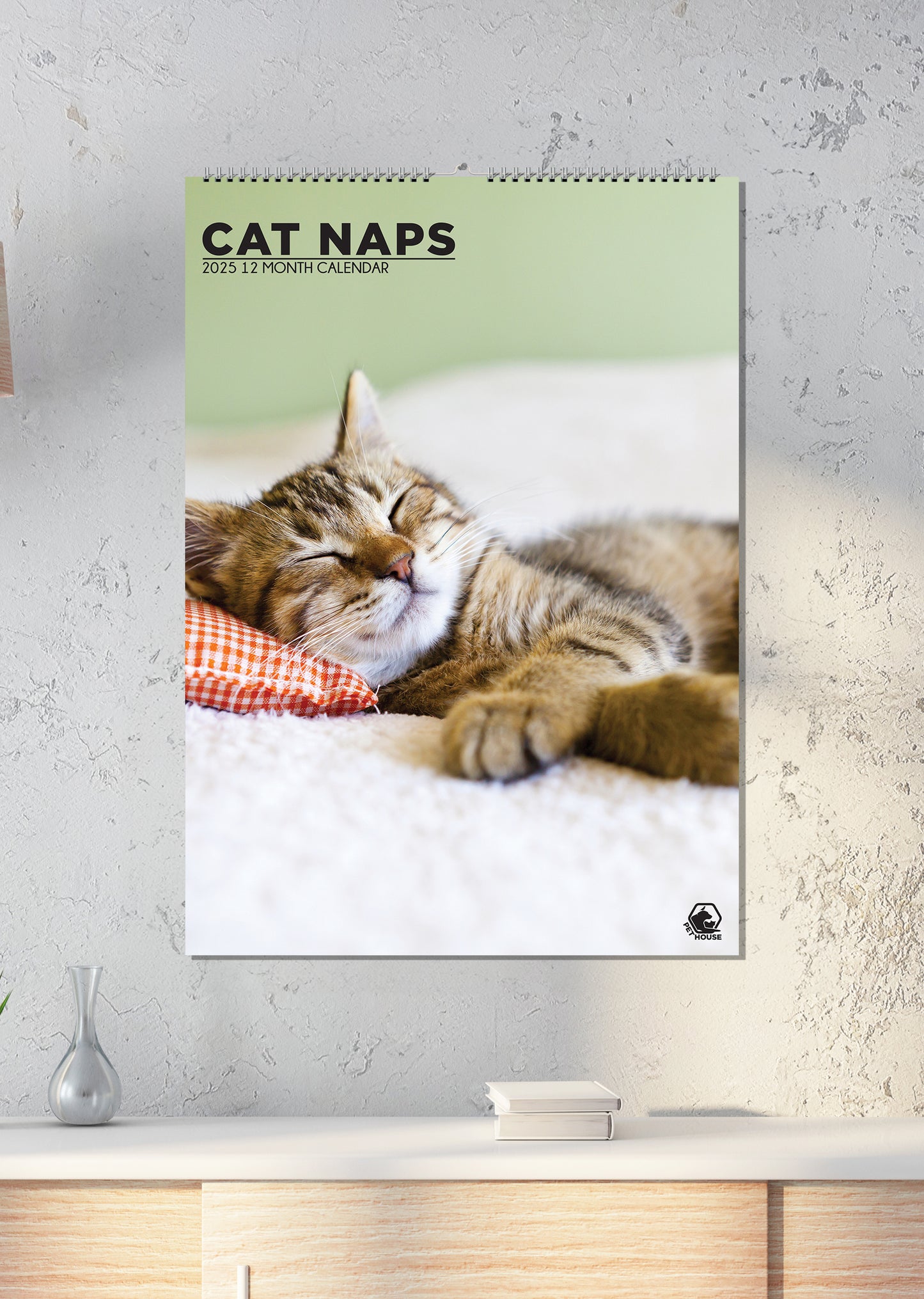 Cats Naps Calendar 2025