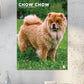 Chow Chow Calendar 2025