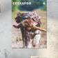 Cockapoo Calendar 2025