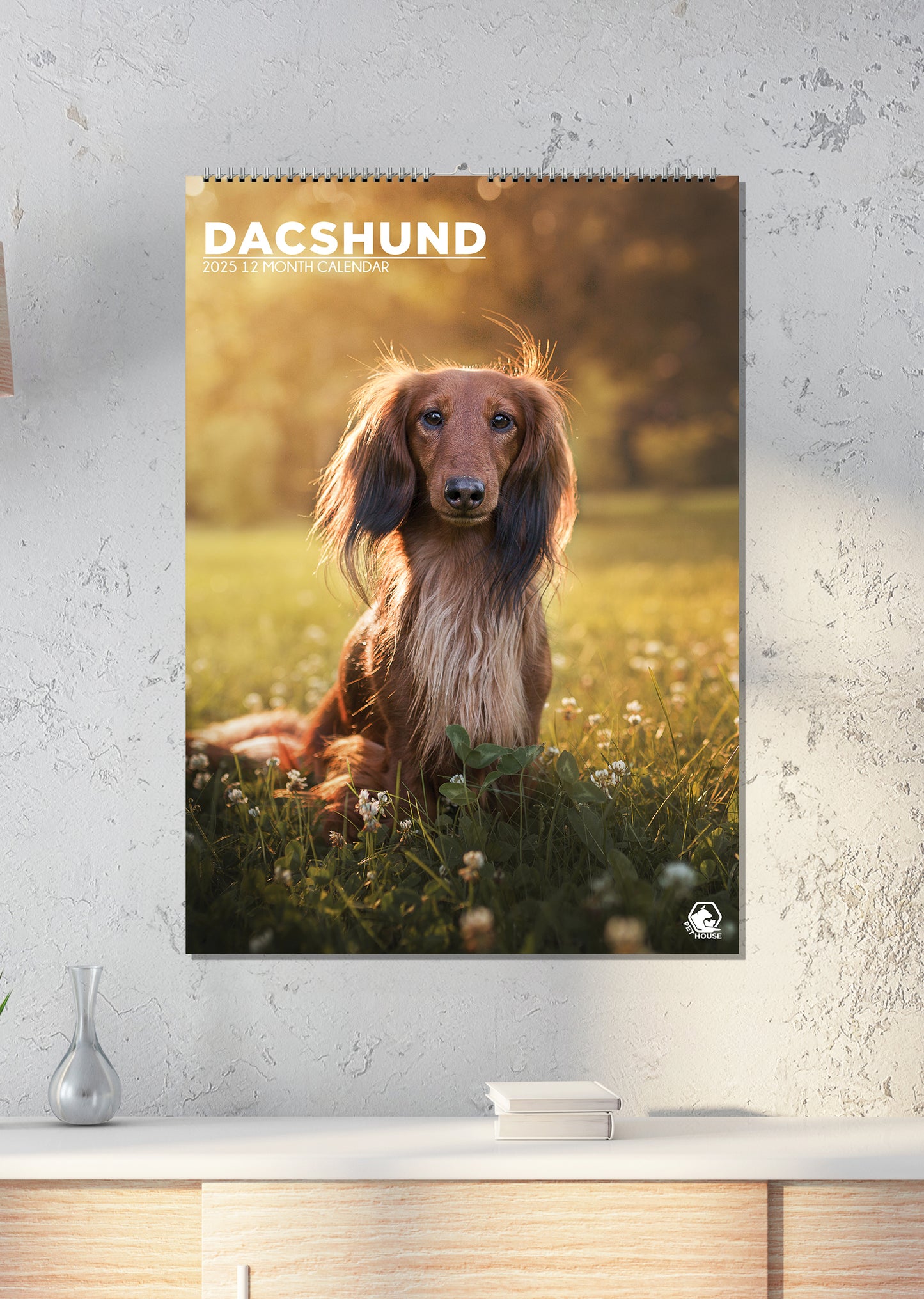 Dachshund Calendar 2025