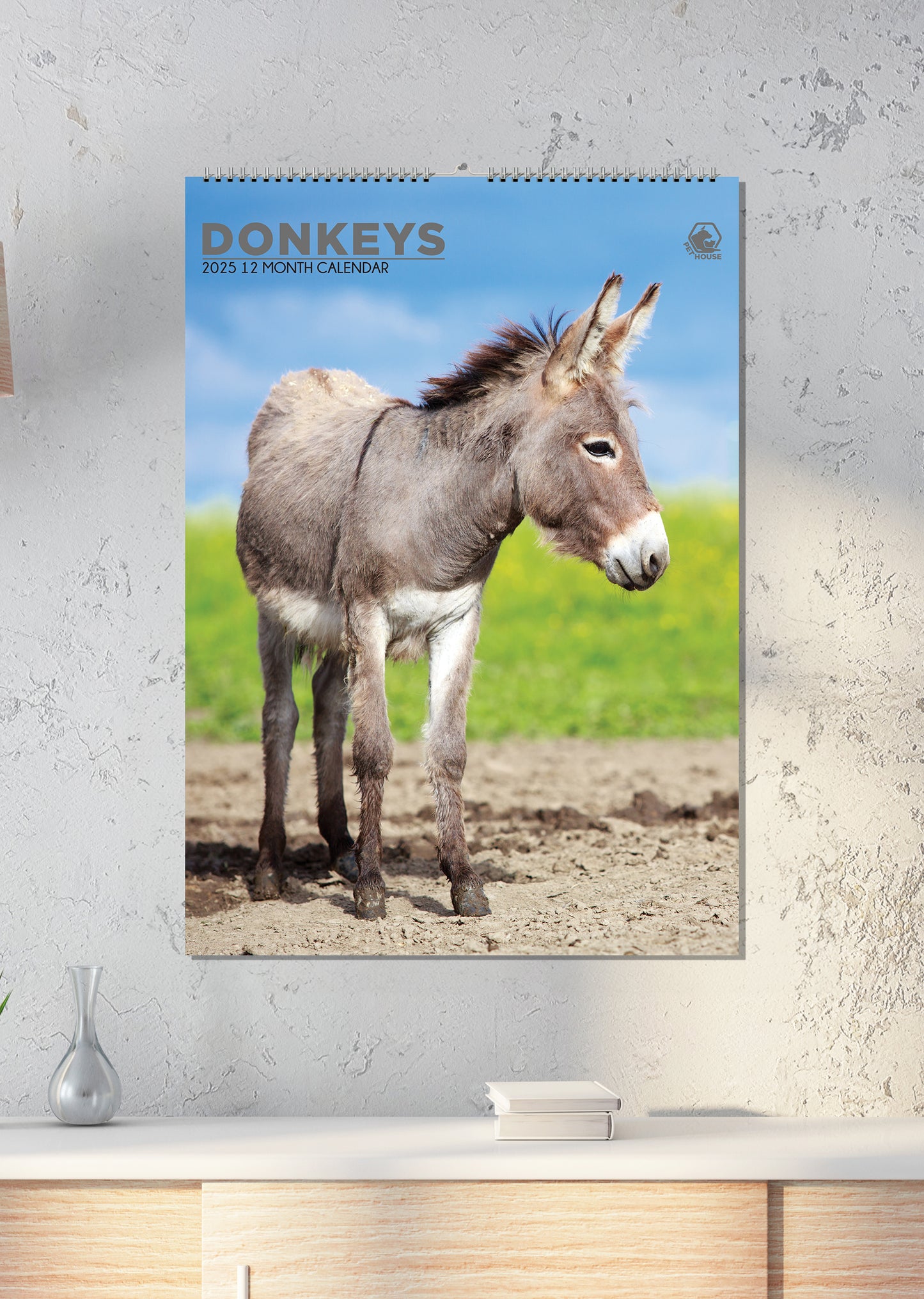 Donkeys Calendar 2025