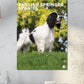 English Springer Spaniel Calendar 2025