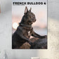 French Bulldog Calendar 2025