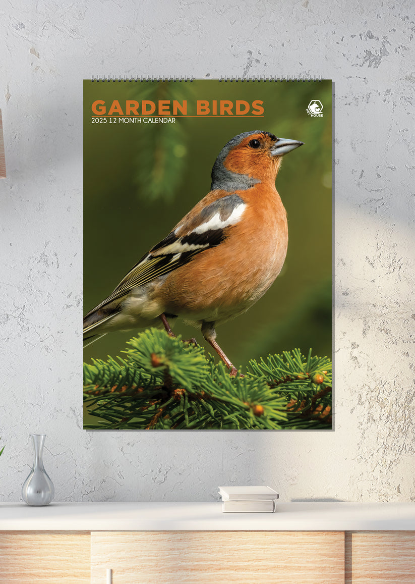 Garden Birds Calendar 2025 – CalendarsRus