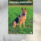 German Shepherd Calendar 2025